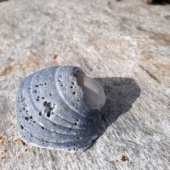 Meet your Posher, Lyn - Picture 1 of 1